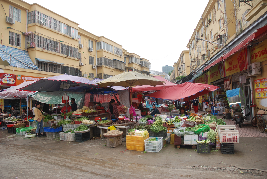 原蔬菜大棚拆迁后现状1_副本.png 原蔬菜大棚拆迁后现状1_副本.png