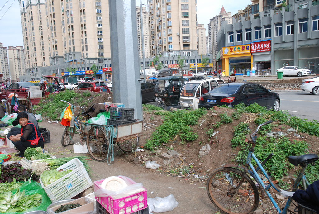 紫竹林路边土堆1_副本.png 紫竹林路边土堆1_副本.png