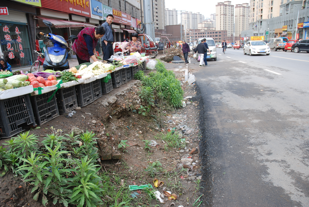 紫竹林路边土堆2_副本.png 紫竹林路边土堆2_副本.png