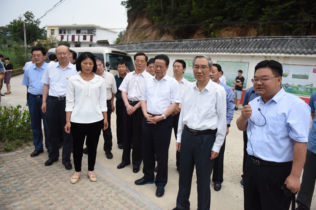 09在金寨县油坊店乡面冲村调研茶谷建设_副本.jpg 09在金寨县油坊店乡面冲村调研茶谷建设_副本.jpg