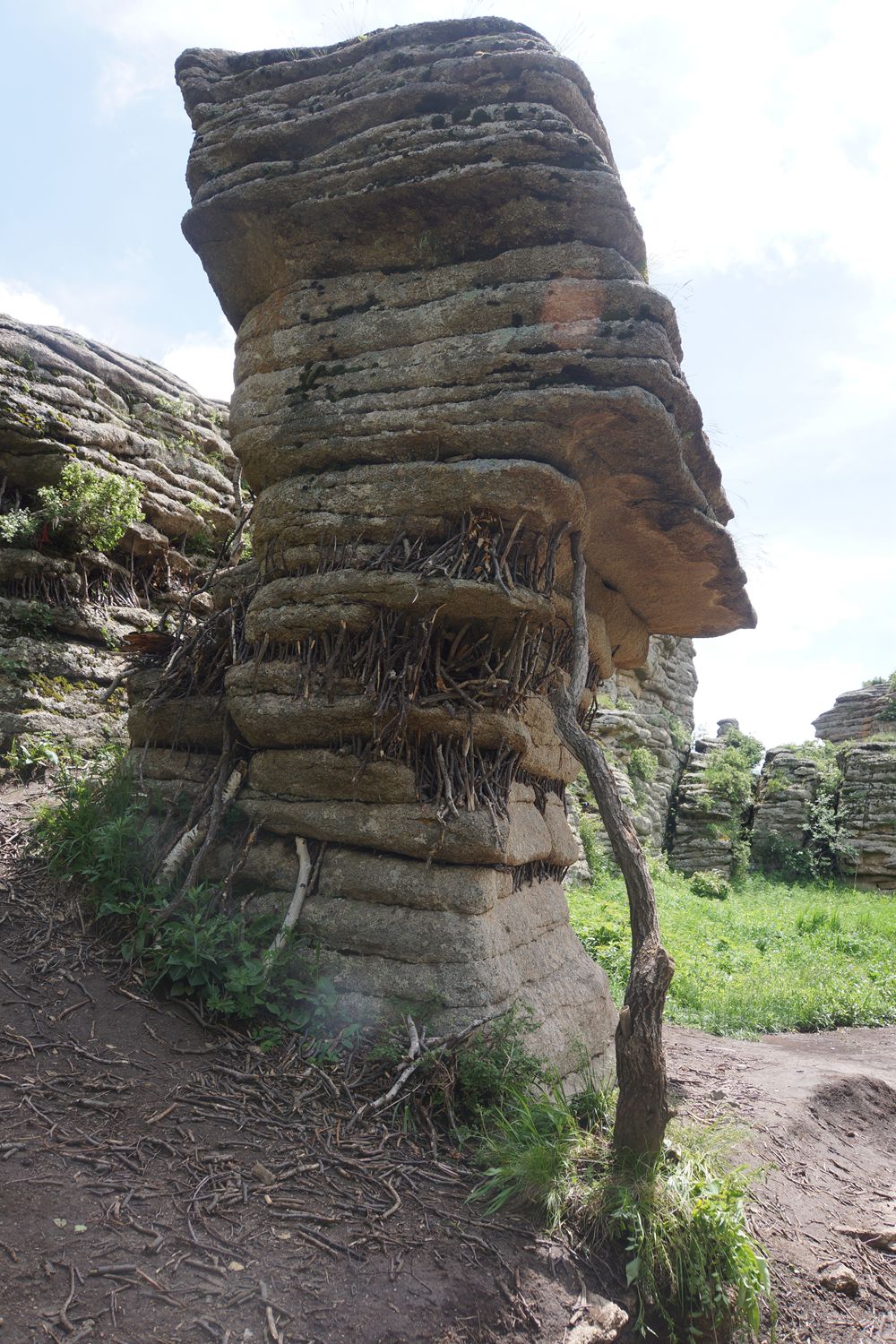 纪念人民政协成立65周年省市政协系统书画摄影展作品