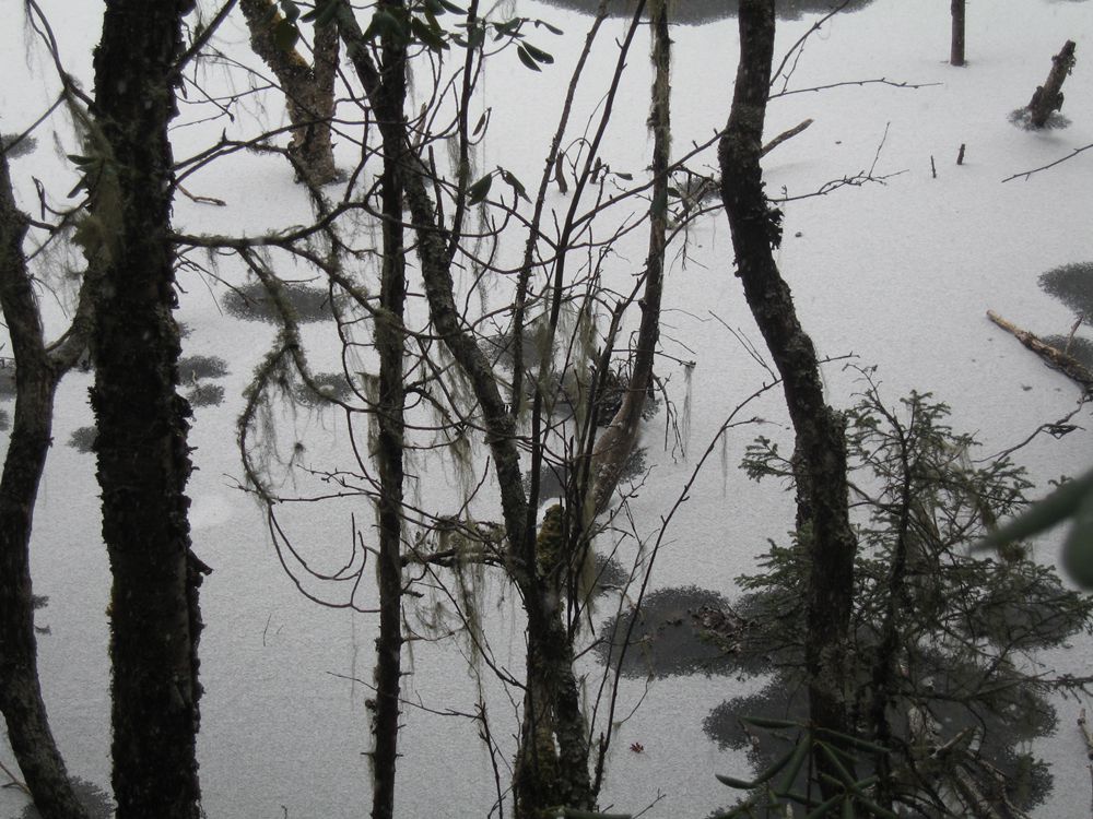 纪念人民政协成立65周年省市政协系统书画摄影展作品