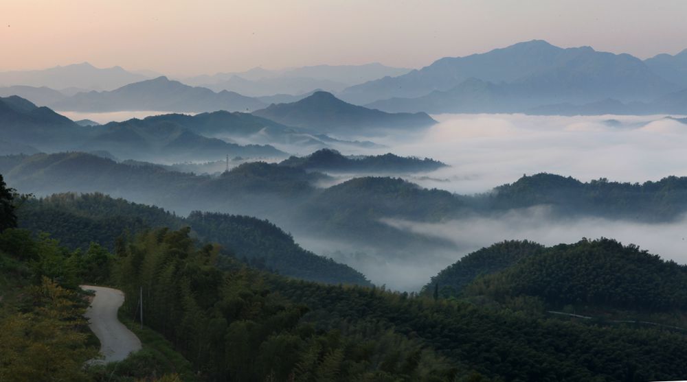 纪念人民政协成立65周年省市政协系统书画摄影展作品